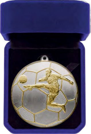 Premiership Football Medal & Box front view