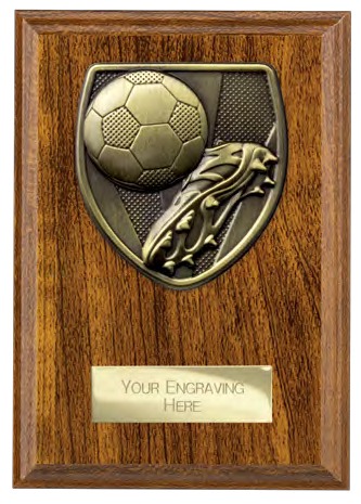 Cobra Plaque Boot & Ball front view