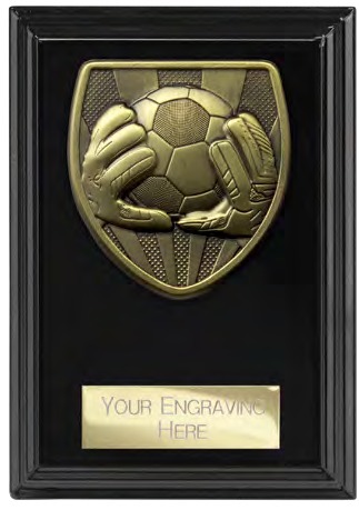 Cobra Plaque Goalkeeper front view