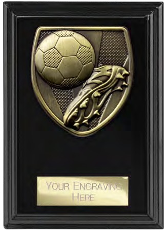 Cobra Plaque Boot & Ball front view