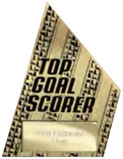 Top Goal Scorer selected award design