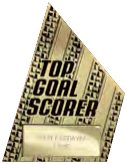 Top Goal Scorer selected award design