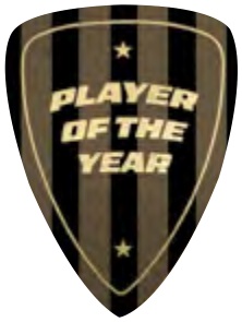 Tournament Gunmetal & Black — Player Of The Year selected award design