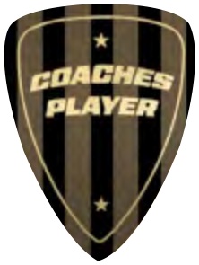 Coaches’ Player selected award design