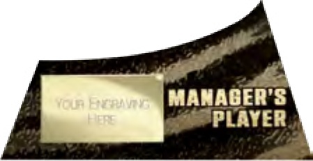 Managers’ Player selected award design