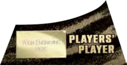 Players’ Player selected award design
