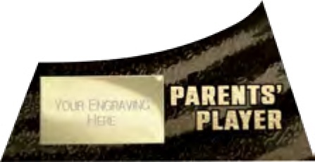 Parents’ Player selected award design