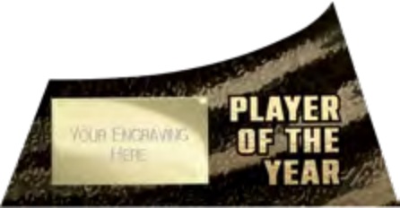 Power Strike โ Carbon Black & Gold โ Player Of The Year selected award design