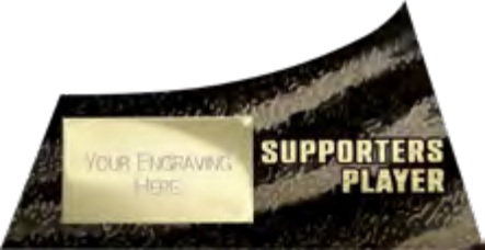 Supporters’ Player selected award design