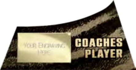 Coaches’ Player selected award design