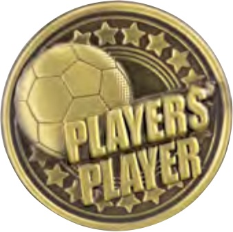 Players’ Player selected award design