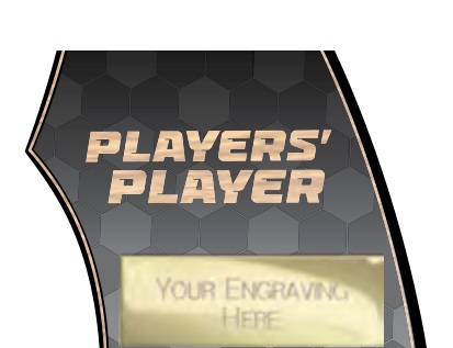 Players’ Player selected award design