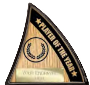 Power Boot Football — Player Of The Year selected award design