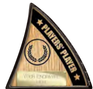 Players’ Player selected award design