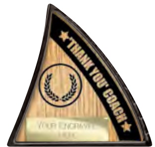 Thank You Coach selected award design