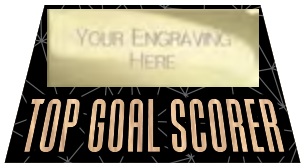 Top Goal Scorer selected award design