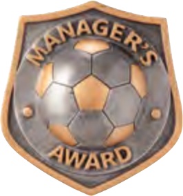Managers’ Awards selected award design