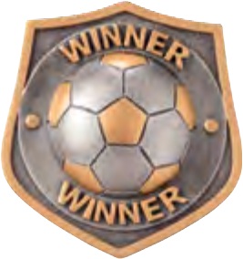 Falcon Football — Winner selected award design