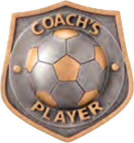 Coaches’ Player selected award design