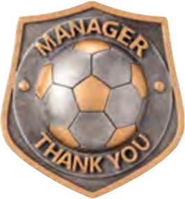 Managers’ Awards selected award design