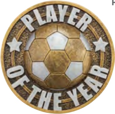 Ikon Football — Player Of The Year selected award design