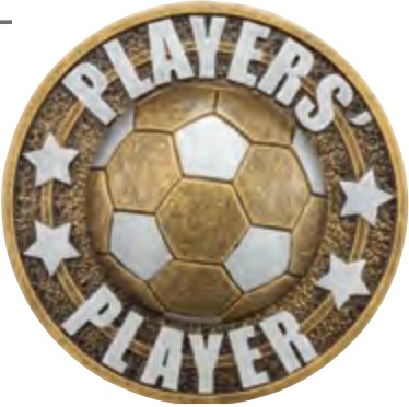 Players’ Player selected award design