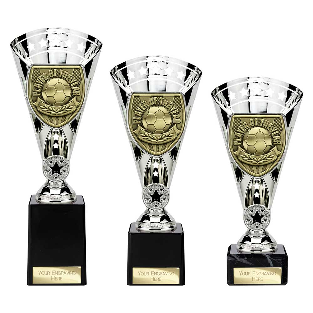 Cobra Star Football — Silver — Player Of The Year front view
